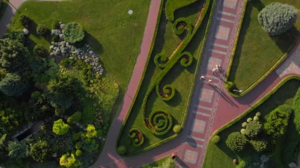 Vista dall'alto dal drone al parco giardino . — Video Stock