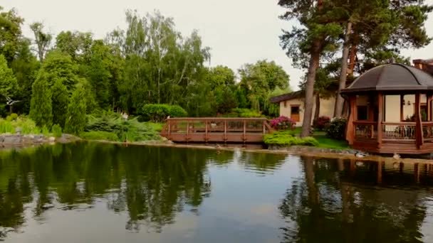 Jardín parque estanque con patos . — Vídeos de Stock