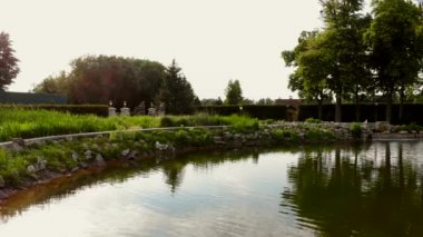 Ördeklerle dolu şehir parkı göleti.