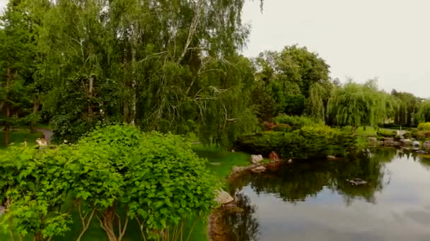 Percorso sottile vicino al laghetto del parco . — Video Stock