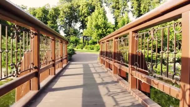 Bridge in Central park at sunny day. — Stock Video