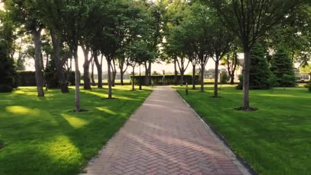 Park cobblestone pathway and trees. — Stock Video