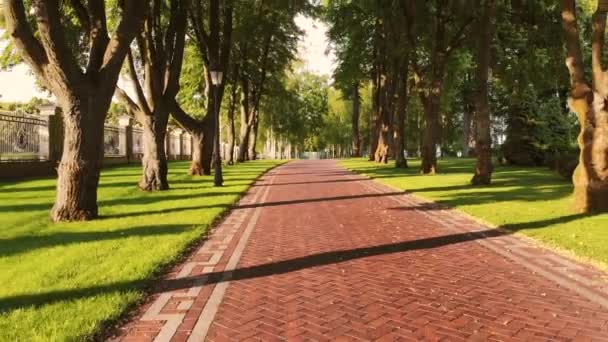 Caminho de paralelepípedos vermelhos no parque e árvores . — Vídeo de Stock