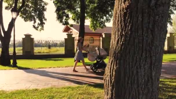 Side view modern mother pushing baby carriage and typing on her phone. — Stock Video