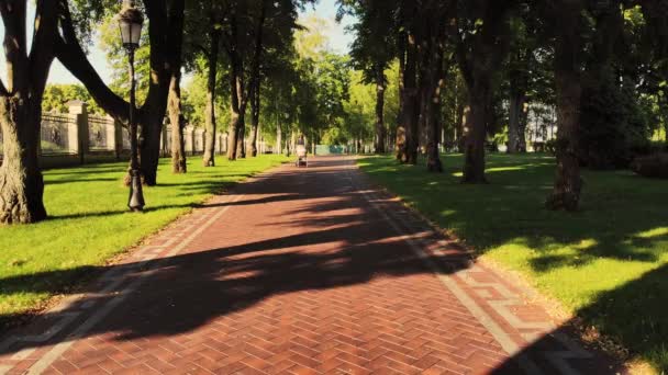 Perspectief uitzicht op dame met kinderwagen wandelen op kasseien stoep. — Stockvideo