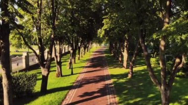 Havalan ve park kaldırımlarının ve ağaçların üzerinden uç..