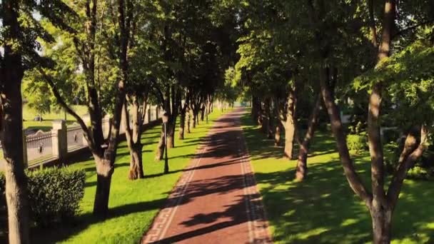 Descolagem e sobrevoar a calçada do parque e árvores . — Vídeo de Stock