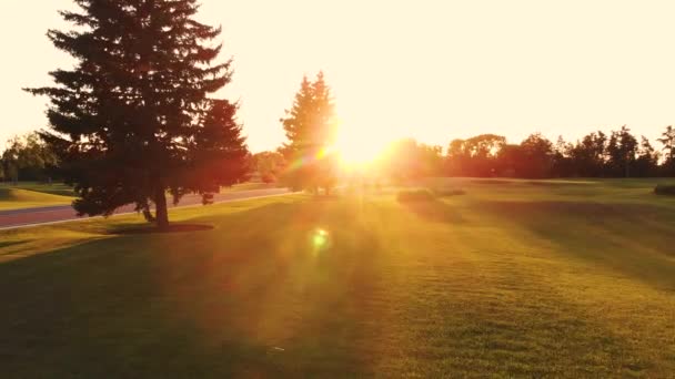 Bewegend door kort gras naar de avondzon. — Stockvideo