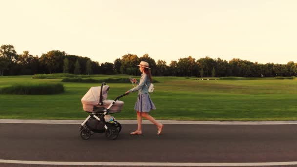 Lycklig kvinna går med en barnvagn i parken. — Stockvideo