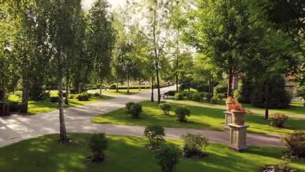 Zonnige zomer park. — Stockvideo