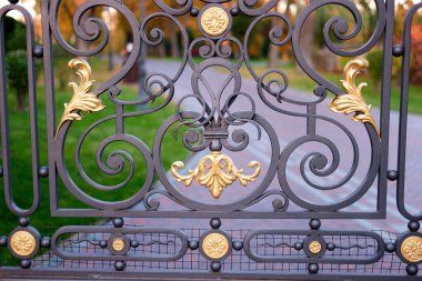 Forged decorative metal fence close up. clipart