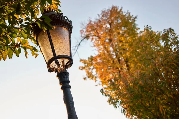 Street lamp post close up.