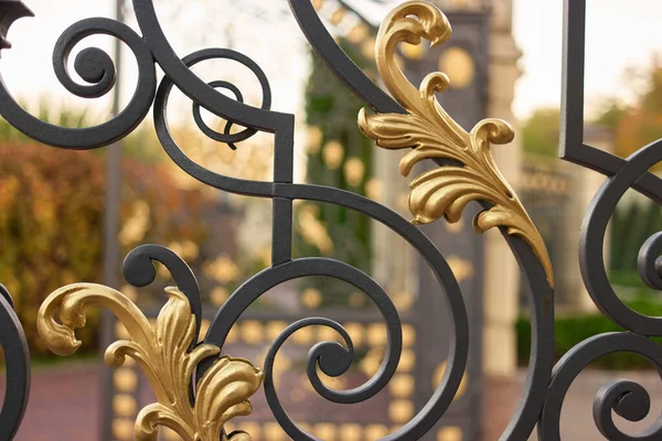 Ornamented curve metal fence. — Stock Photo, Image