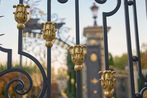 Cerca de celosía puerta del parque decorativo . —  Fotos de Stock