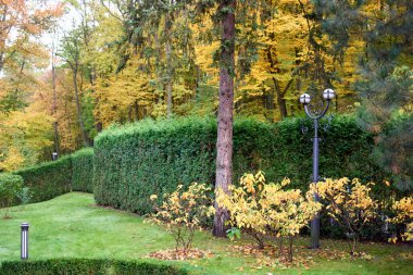 Sonbahar parkında tek direkli lamba.