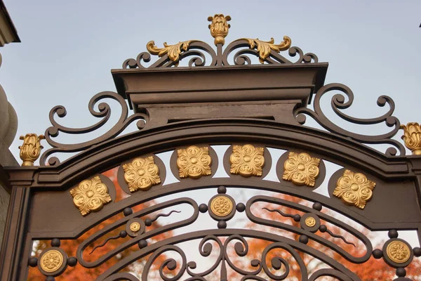 Porte metalliche ornate in ferro . — Foto Stock