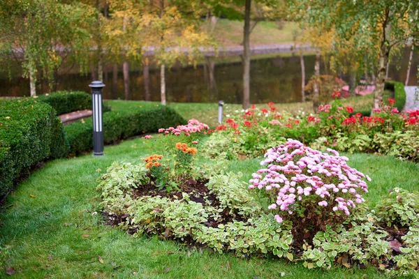 Jardim de diferentes flores coloridas perto da lagoa do parque . — Fotografia de Stock