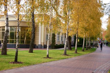 Kalabalık sonbahar parkı.