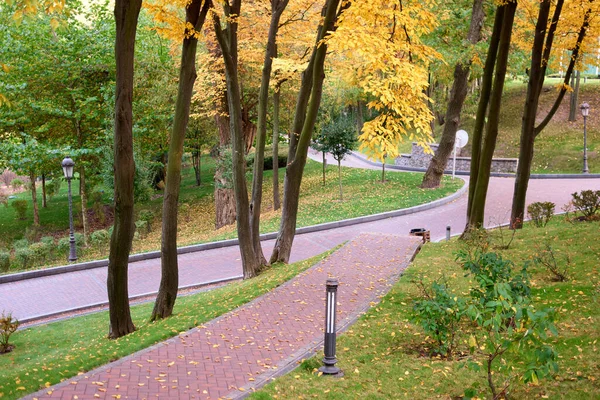 Miejski park miejski chodniki i drzewa. — Zdjęcie stockowe