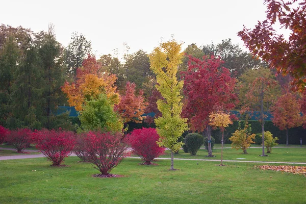 Paysage du parc d'automne avec ciel gris . — Photo