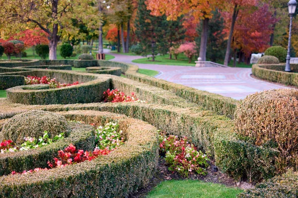 Jardim de parque com arbustos de corte lineraly e flores . — Fotografia de Stock