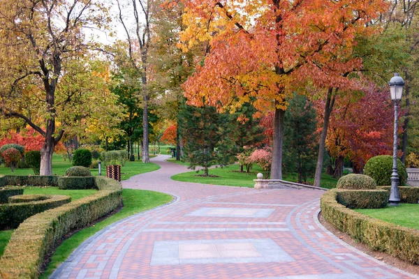 Cobblestone πεζοδρόμιο σε φθινοπωρινό πάρκο της πόλης. — Φωτογραφία Αρχείου