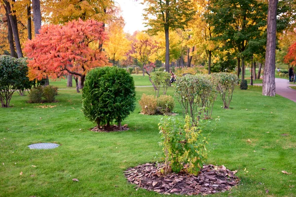 Bem preparado jardim gramado com arbustos e árvores . — Fotografia de Stock