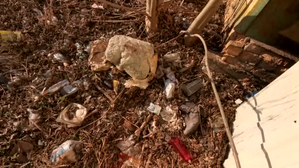 Verschiedener verstreuter Müll auf getrocknetem Gras. — Stockvideo