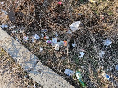 Kuru çimlerde çöp ve çöp..