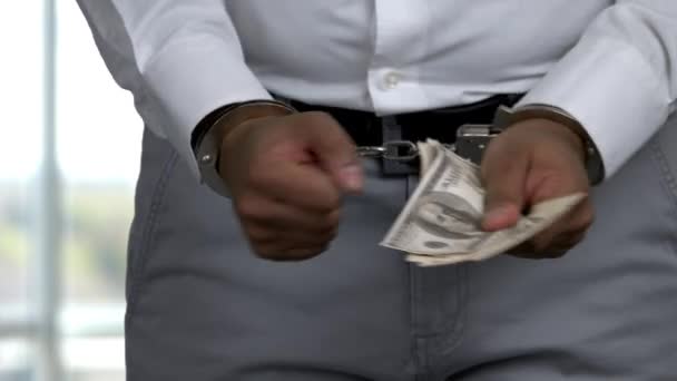 Arrestation d'argent pour corruption ou escroquerie concept . — Video