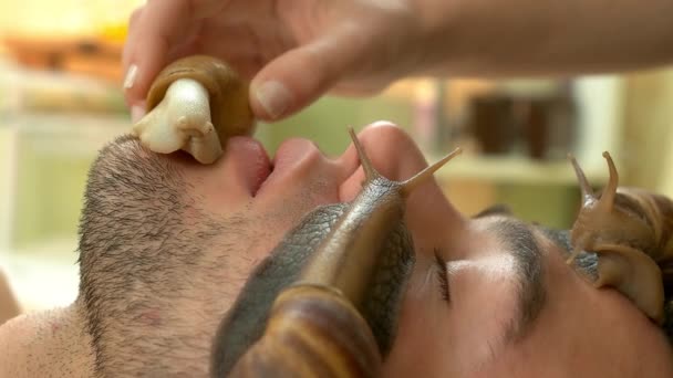 Handsome man receiving snails treatment at spa salon. — Stock Video