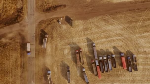 Camión de visión aérea con grano en movimiento en el campo . — Vídeos de Stock