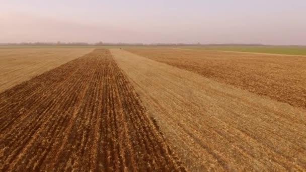 Die endlosen Felder nach der Ernte. — Stockvideo