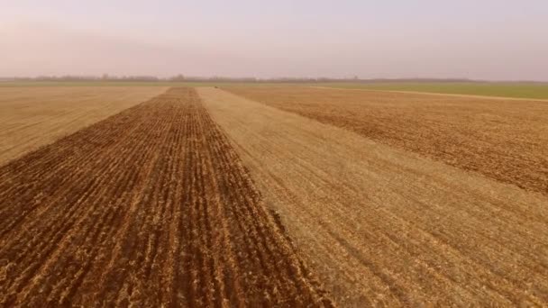 Los campos interminables después de la cosecha . — Vídeo de stock