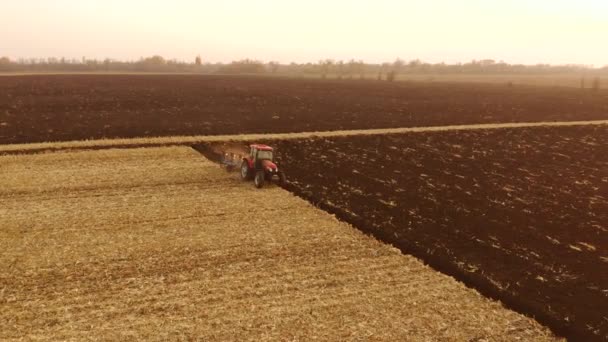 Tractor die in het najaar op het landbouwbedrijf werkt. — Stockvideo