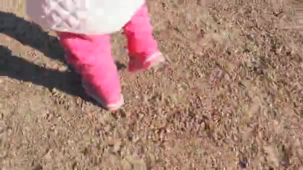 Chiudi i piedi del bambino facendo passi all'aperto . — Video Stock