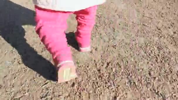 Baby voeten wandelen op kiezelsteentjes op een zonnige dag. — Stockvideo