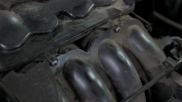 Close up engine motor of a car. — Stock Video