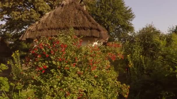 Tuin tuin van het dorp traditionele hut huis. — Stockvideo