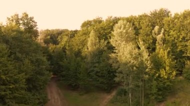 Ormanda yükselen bir drondan görüntü.
