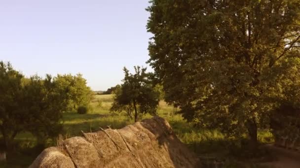 Utsikt från en drönare stiger och flyger på fältet. — Stockvideo