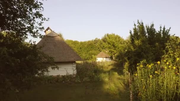 짚 지붕 이 있는 전통적 인 흰 오두막집. — 비디오
