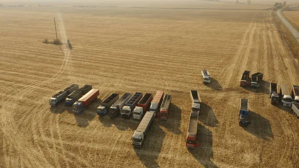Ovanifrån av spannmål lastbilar på fältet. — Stockfoto