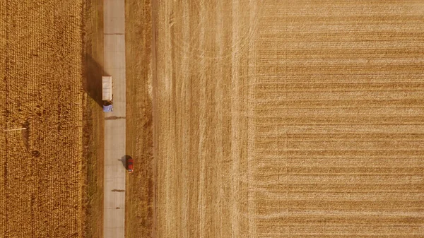 Modern lastbil rör sig på väg nära vetefält. — Stockfoto