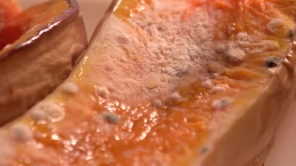 Close up de abóbora laranja mofado . — Vídeo de Stock