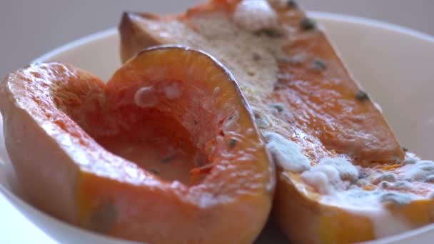 Cerrar cuenco con verduras podridas . — Vídeos de Stock