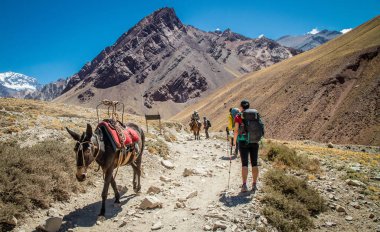 İnsanlar karlı tepeye gider.