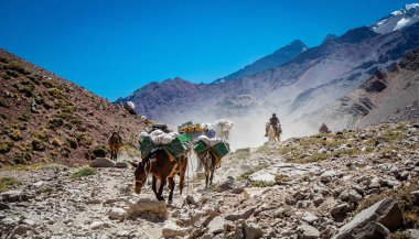 Bir dağ vadisinde kargo taşıyorum.