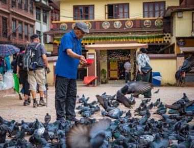 Bir adam Katmandu 'da bir meydanda güvercinleri besler.
