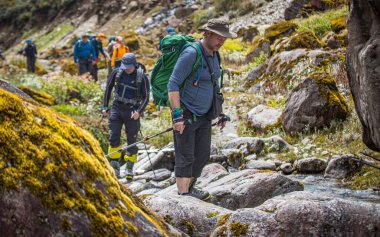 Bir grup turist yolda. Büyük kayalar yosun ile kaplanmış..